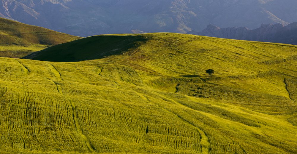 Photograph by ali kaviyani