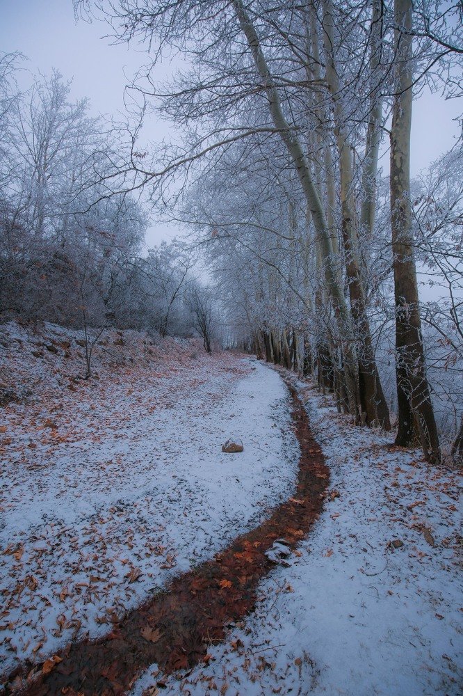 Photograph by ali kaviyani