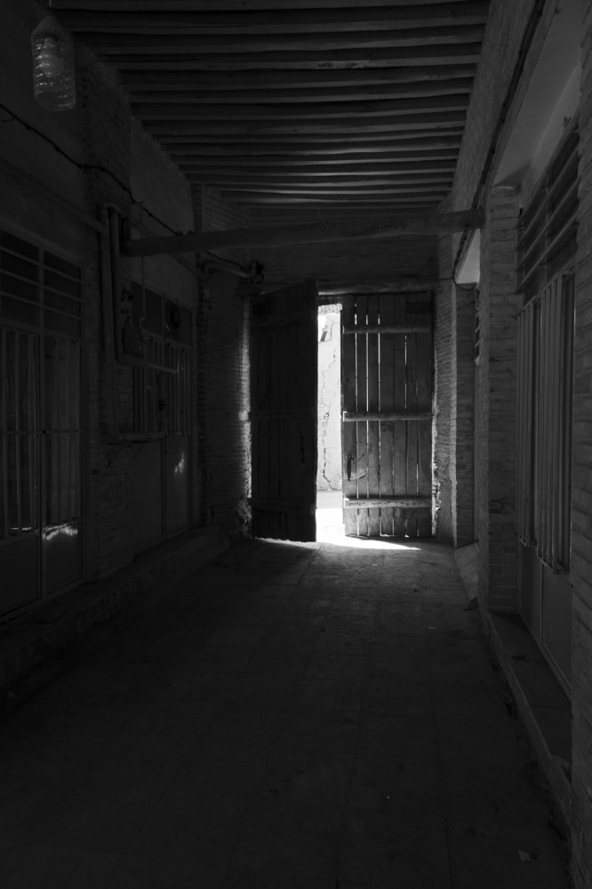 Photograph by ali kaviyani