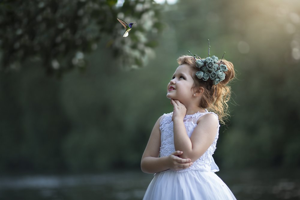 Фотография автора Meg Leite