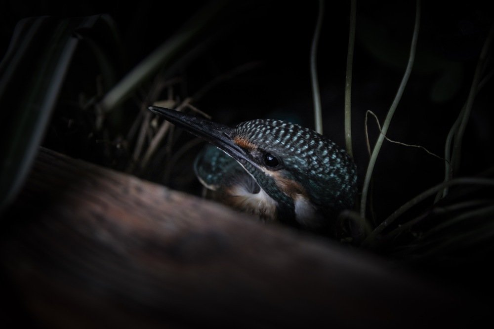 Photograph by Нигора Гайбуллаева