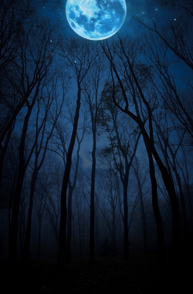 Photograph by Aleksandur Vasilev