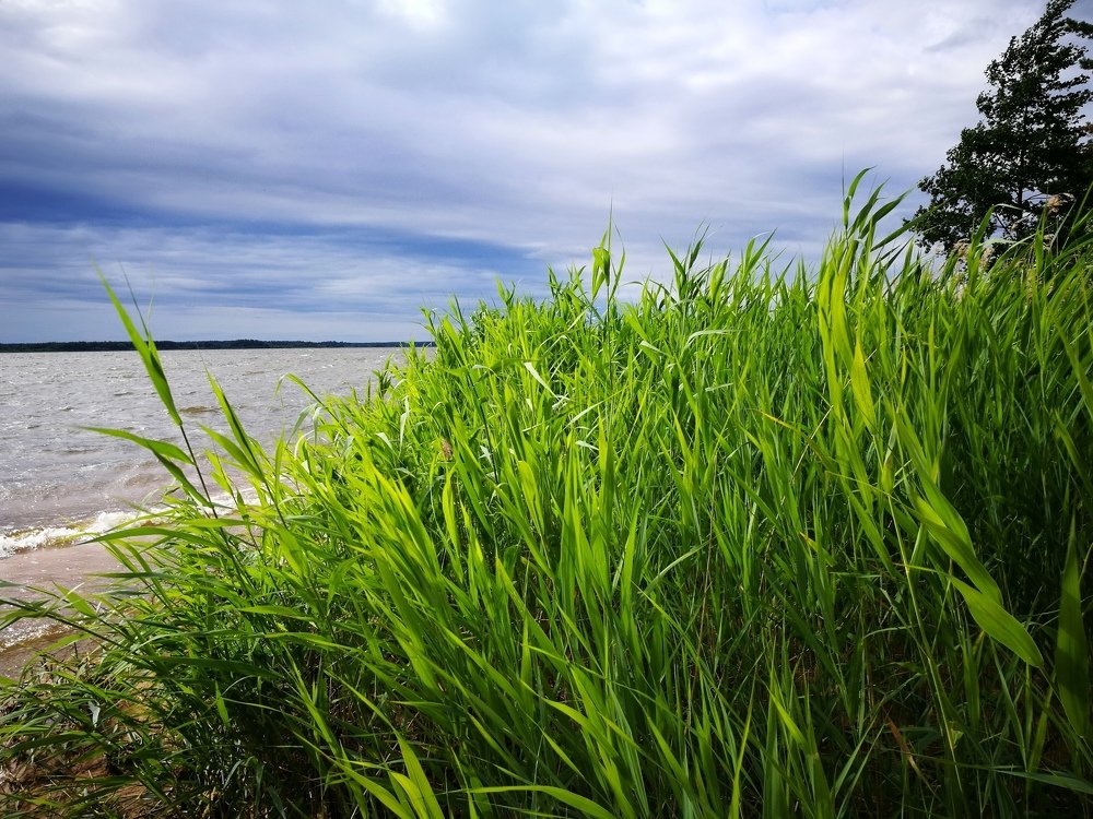 Photograph by Евгений Кравченко