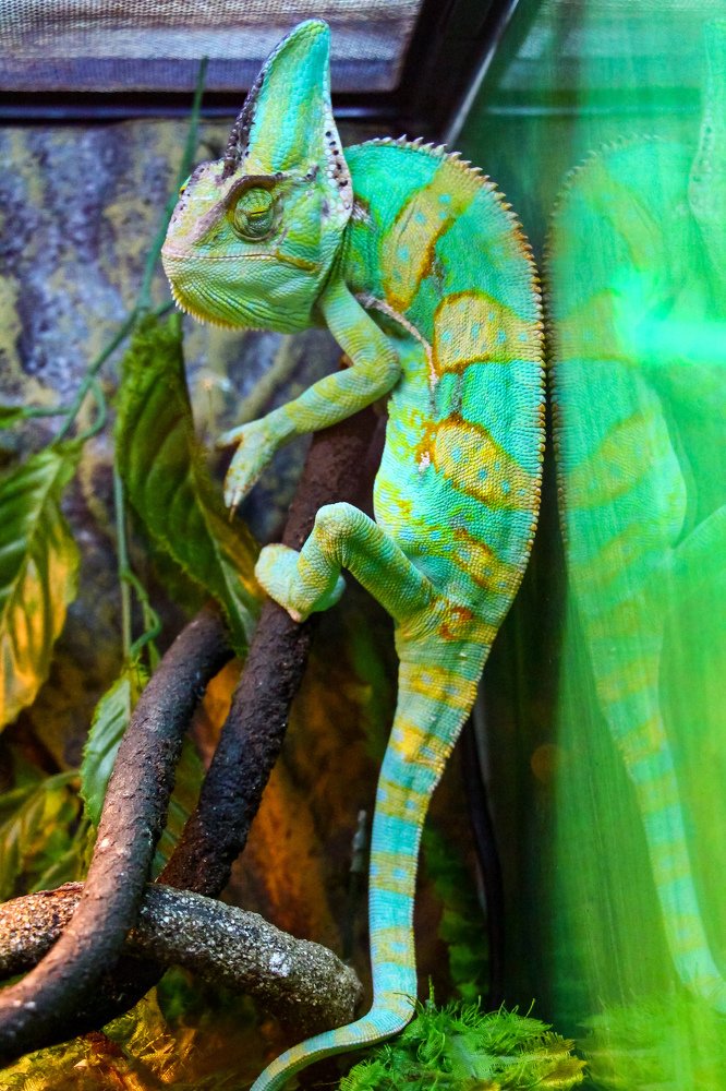 Photograph by Michael