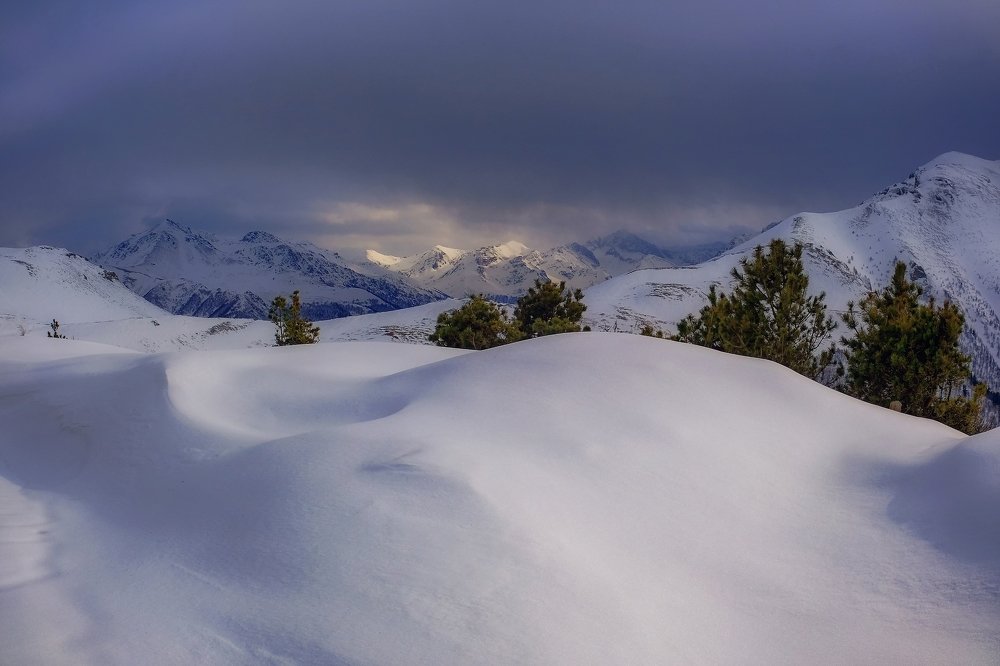 Photograph by Олеся Федосеенкова