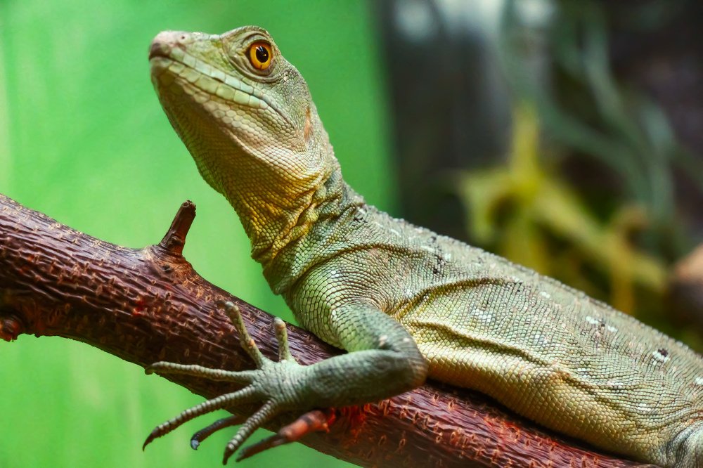 Photograph by Michael