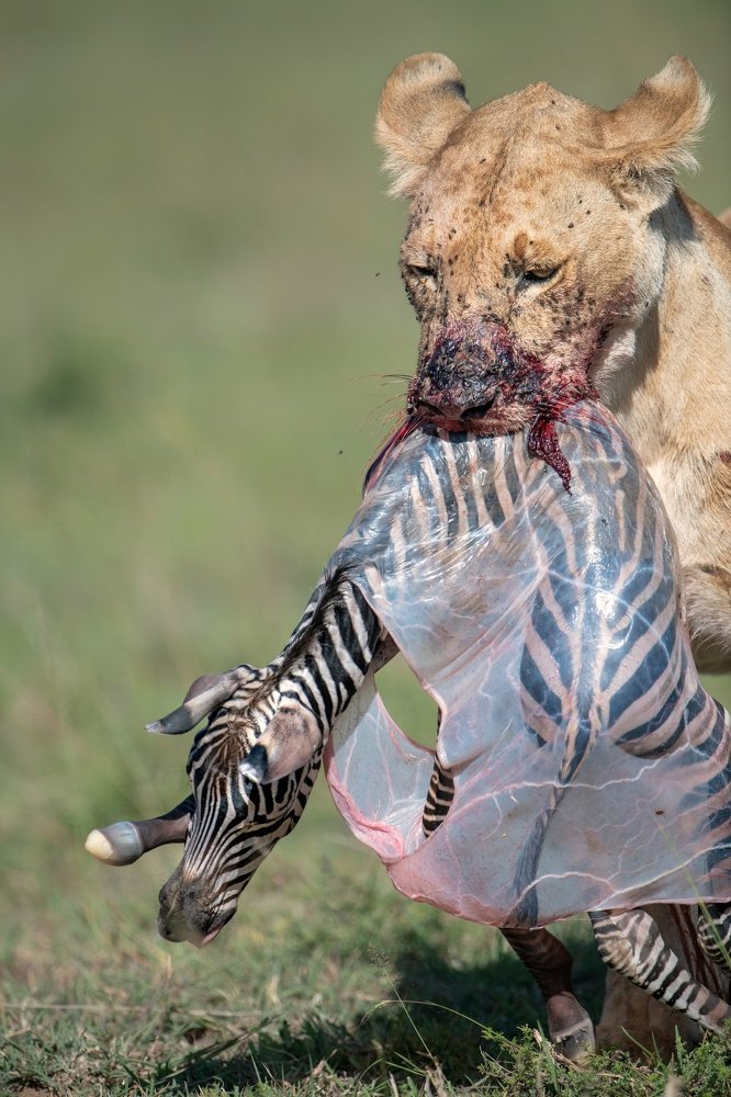 Cruel kindness,anUnusual behaviour...