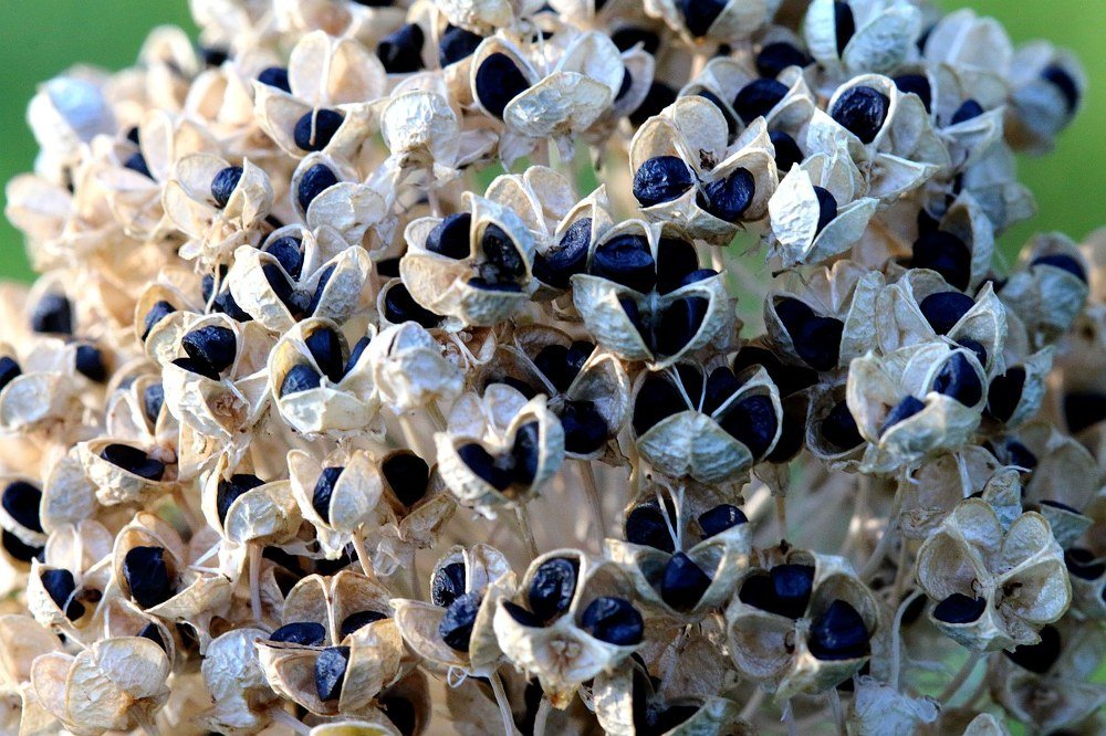 Photograph by Юрий Варюхин