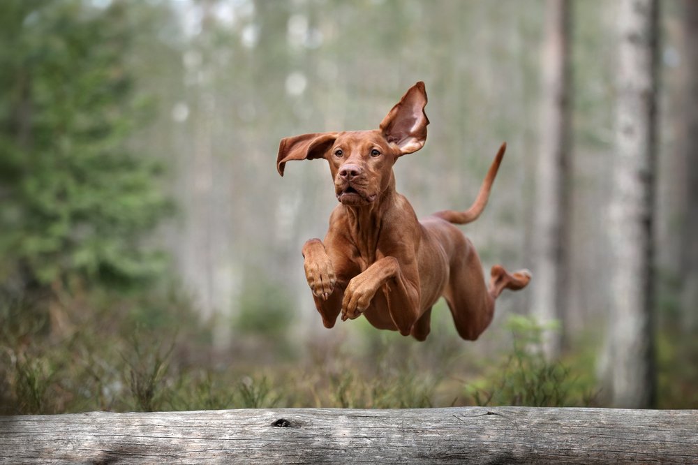 Photograph by Надежда Иванова
