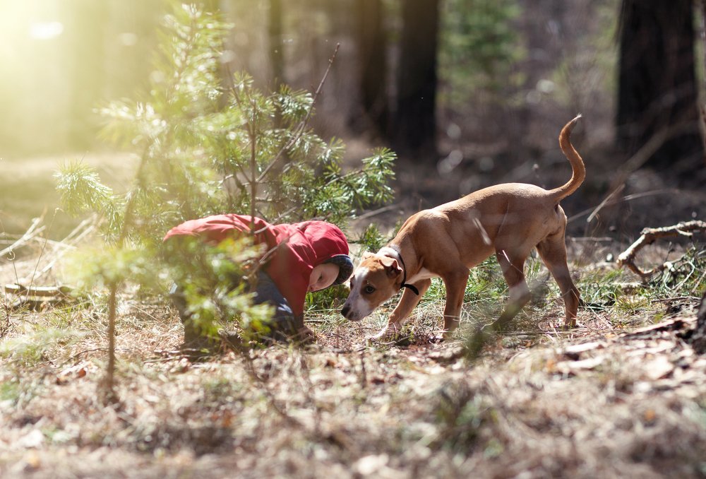 Photograph by Анатолий Лиясов