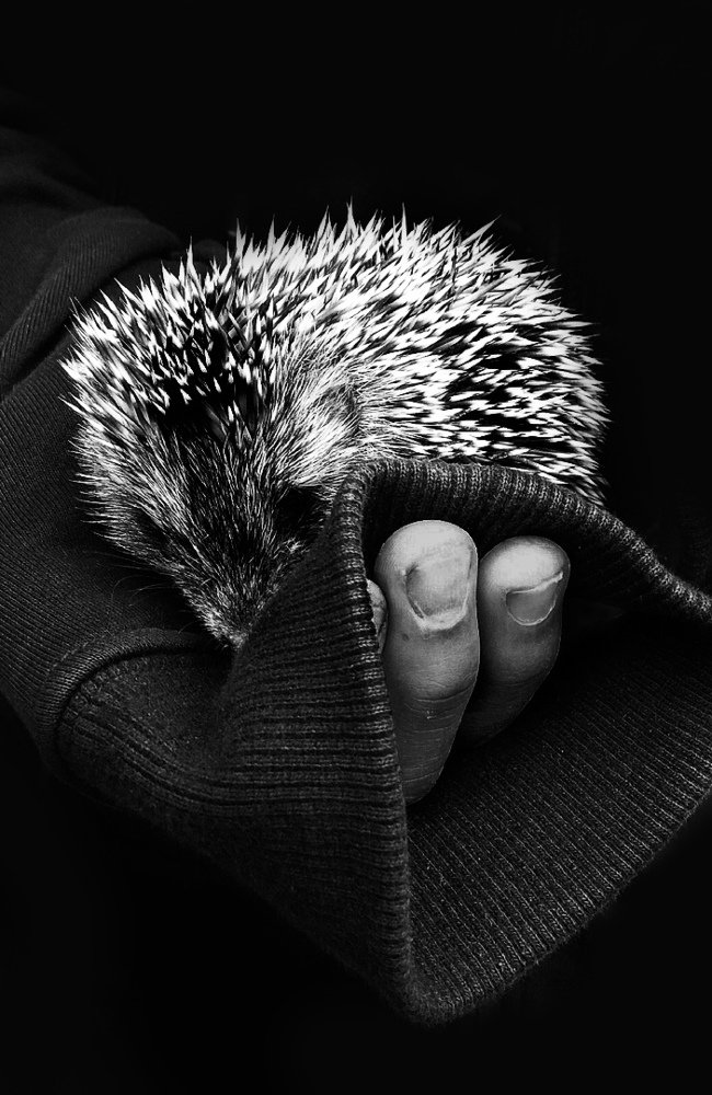 доброта спасёт мир