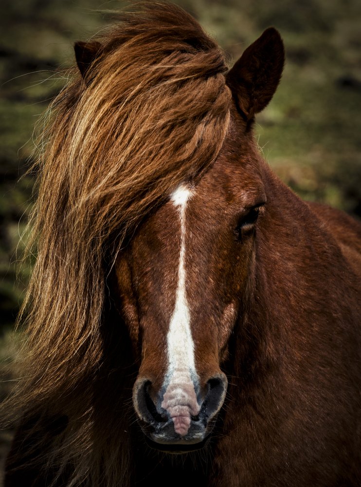 Фотография автора Cristian Dunivicher