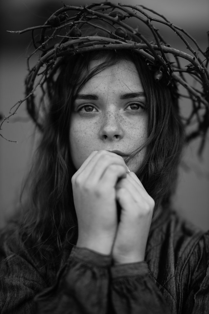 Венок из шиповника.