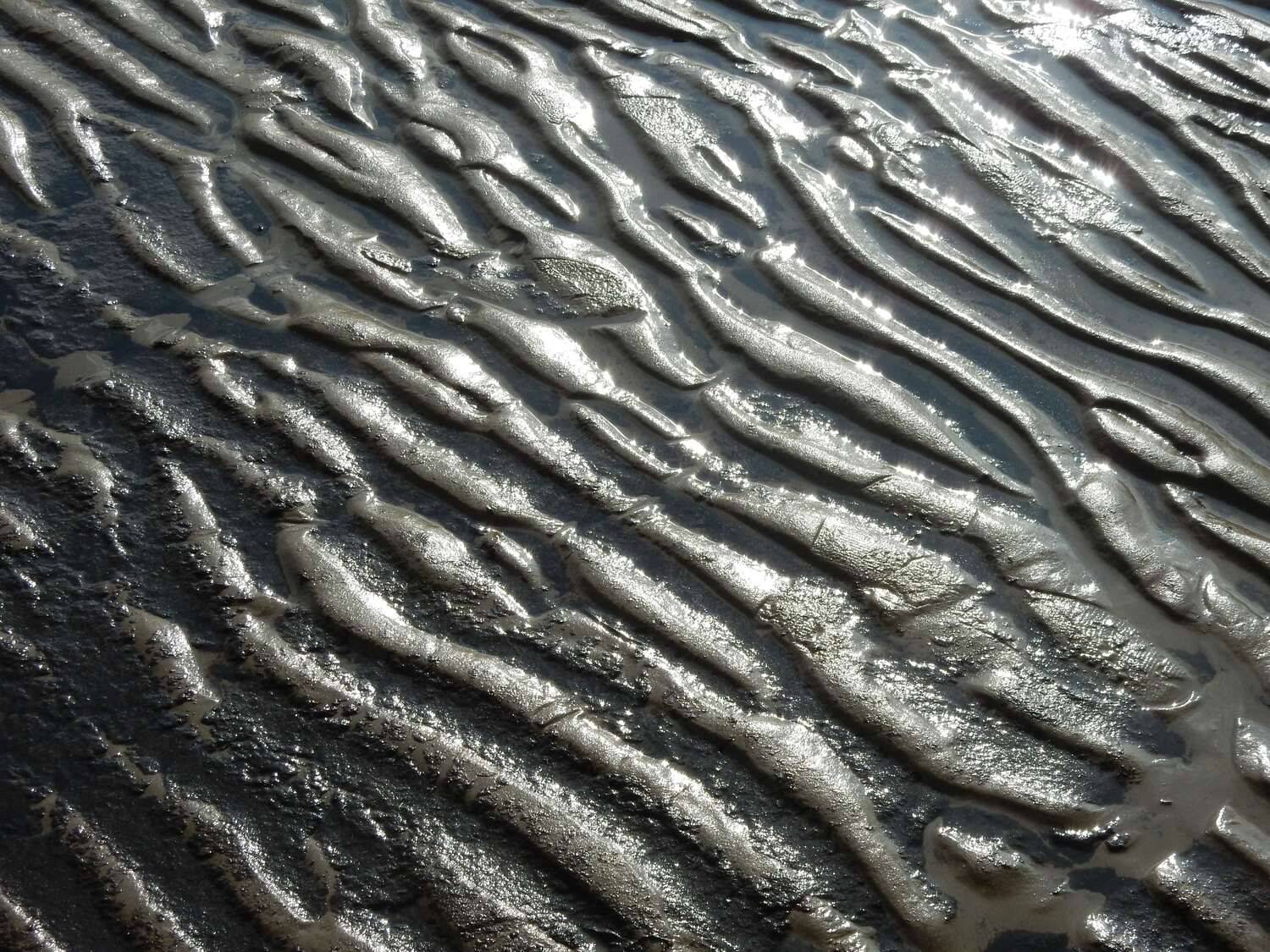 Отлив/ Tide