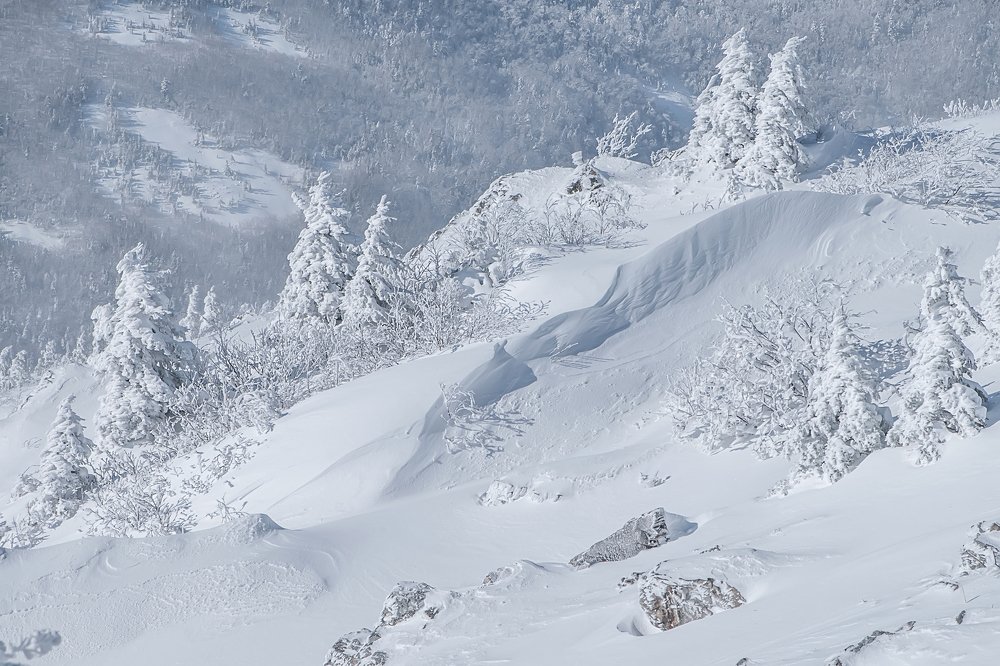 Photograph by Ольга Мусиенко