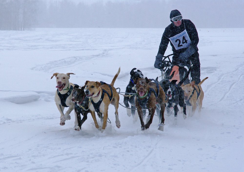 Photograph by Наталья Волошина