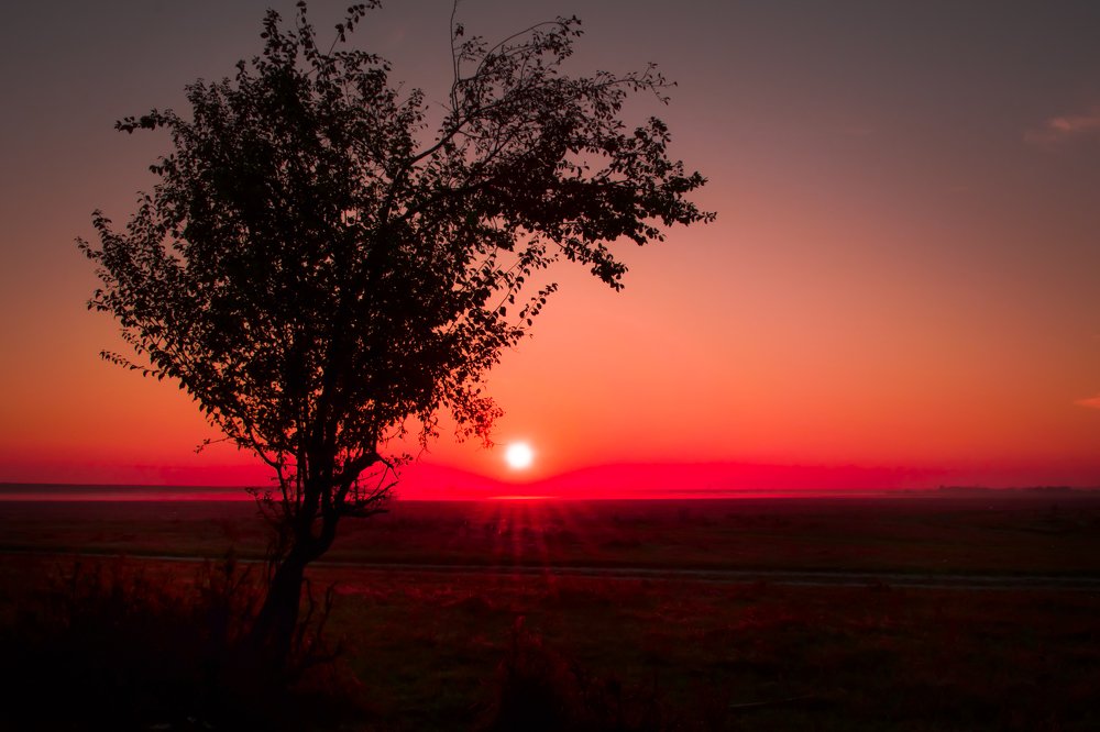 Photograph by Baltescu Alin