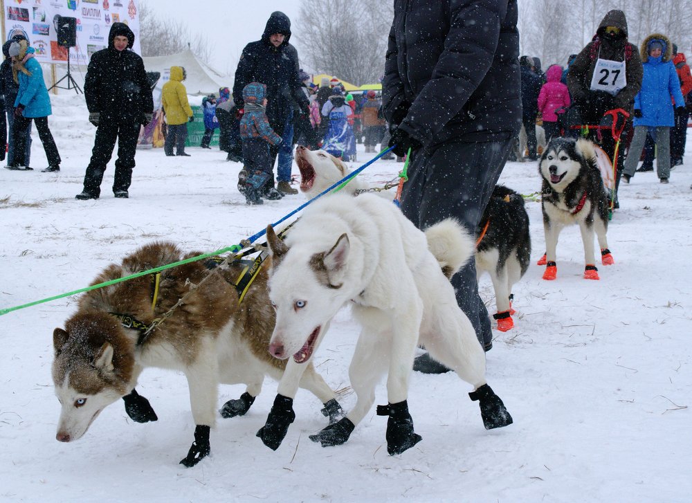 Photograph by Наталья Волошина