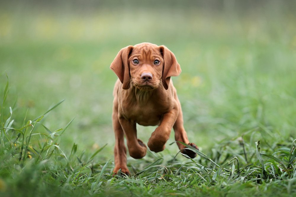 Photograph by Надежда Иванова