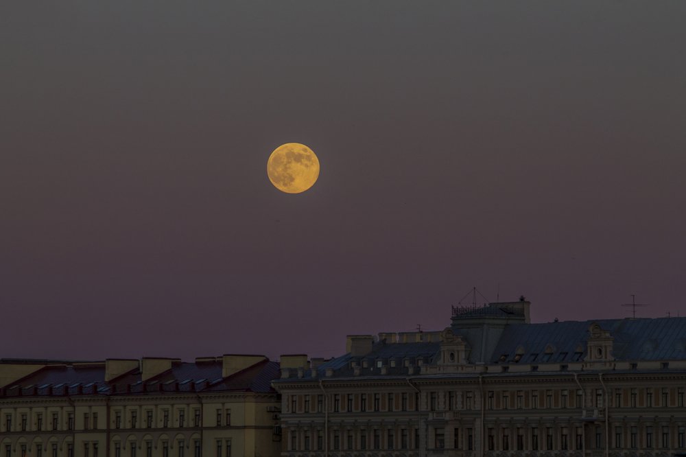 Photograph by Вячеслав Булатов