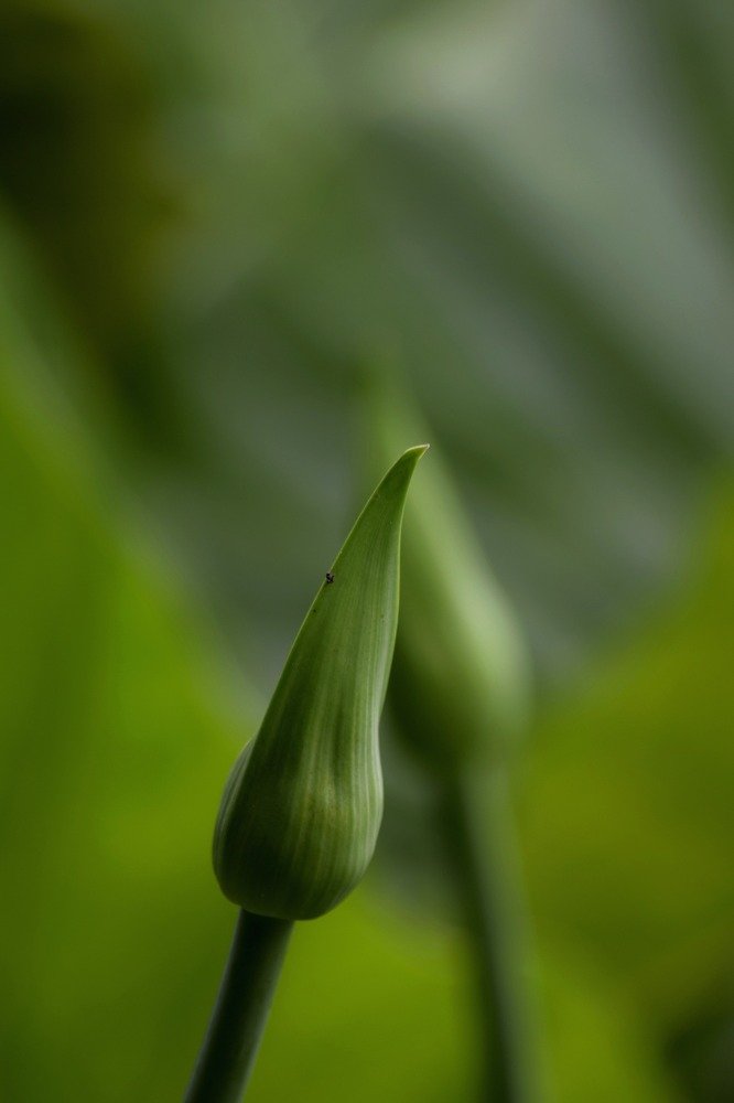 Photograph by Beatriz Games