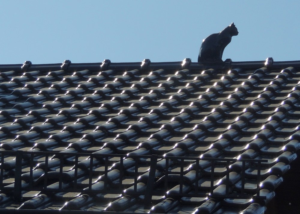 Photograph by Юрий Тихонов