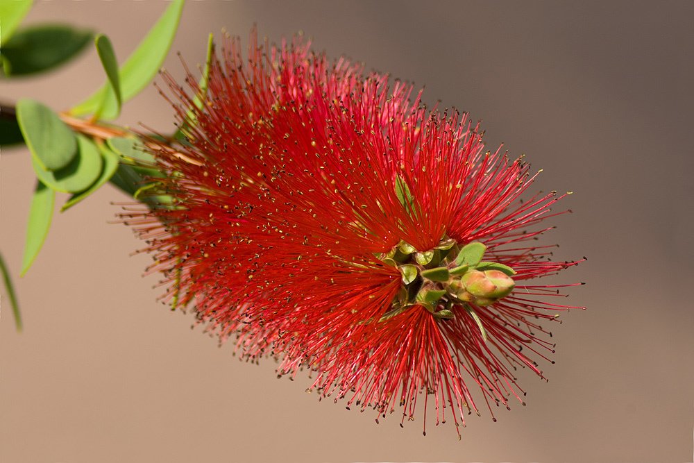 Photograph by Ирина Шумахер