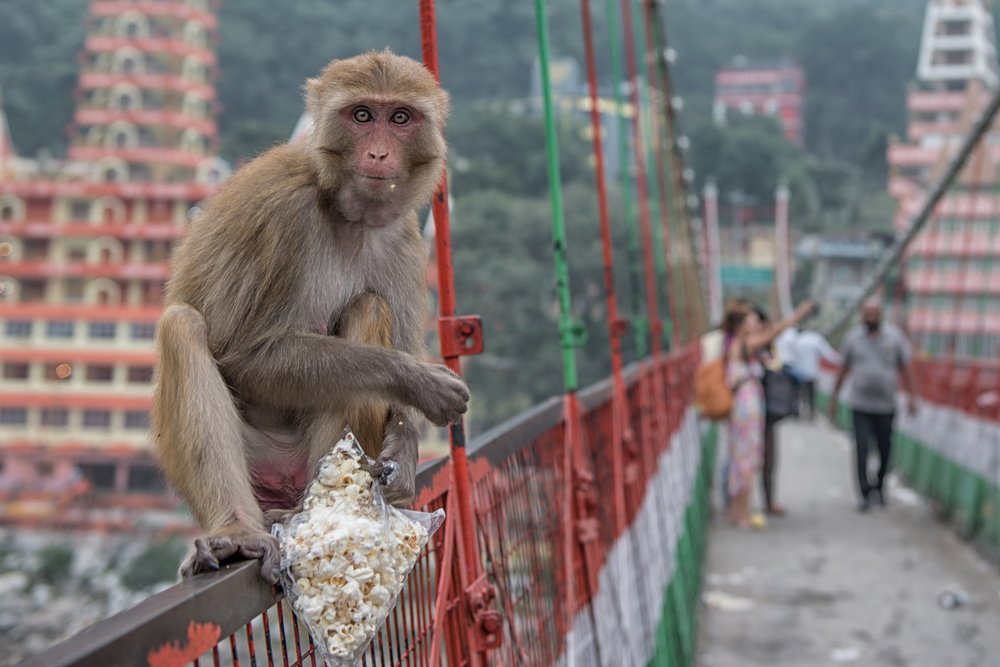 Photograph by Svetlana Milcheva