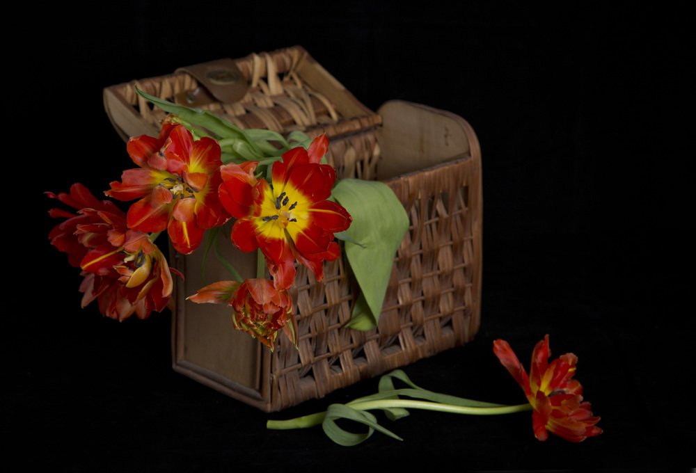 Photograph by Ирина Шумахер