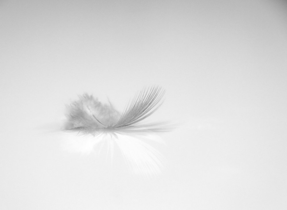 Photograph by Somaiehghorbani