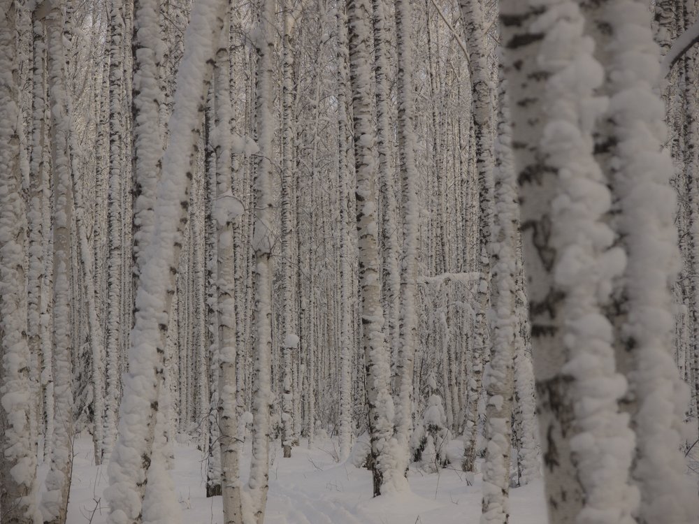 Photograph by Александр