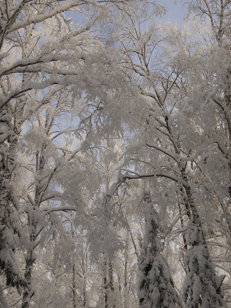 Photograph by Александр