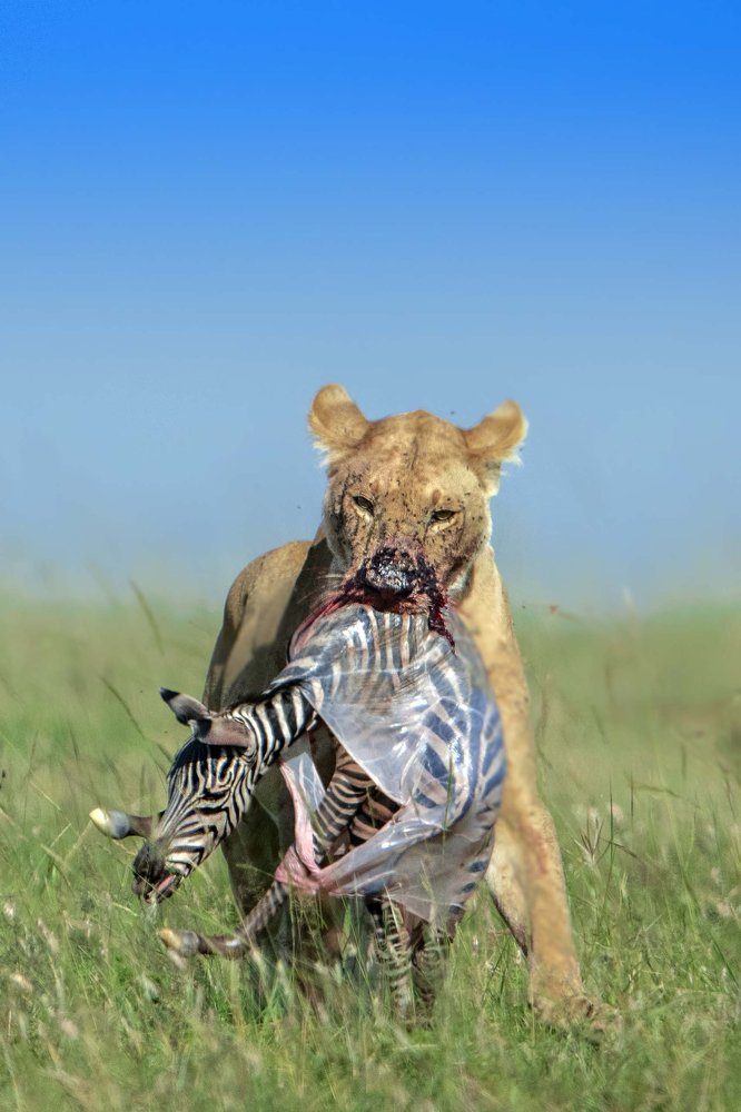 Cruel kindness,an unusual behaviour...