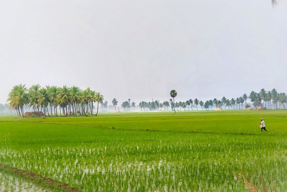 Photograph by Srikanth Pandarangi