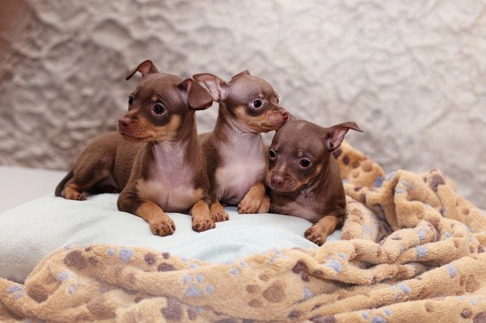 Фотография автора Наталья Ходюк