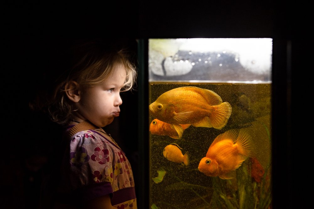 Photograph by Ирина Хромова