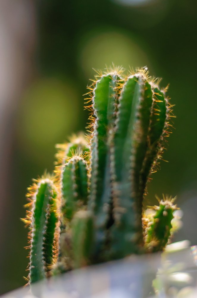 Photograph by Boris Vasilenko