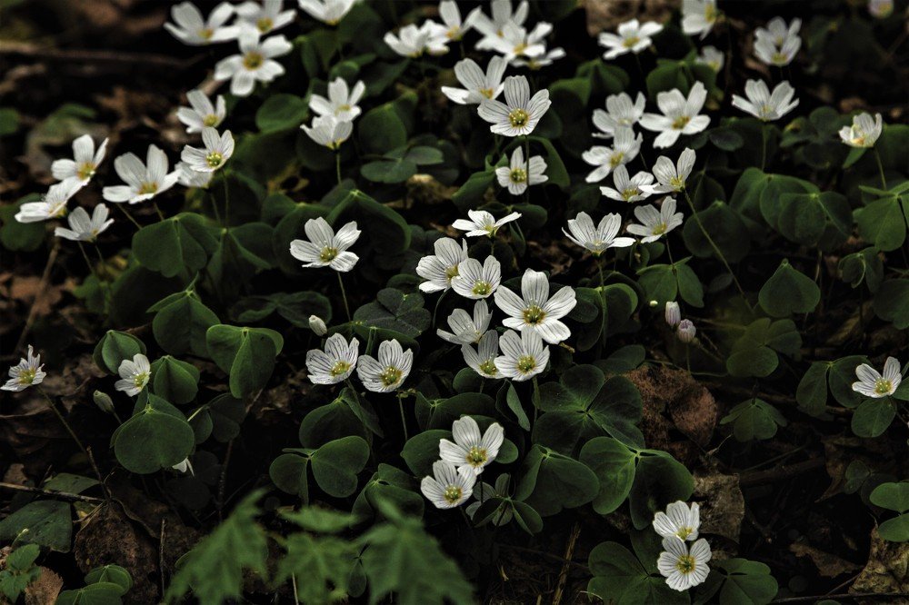 Photograph by Кристина Литвинова