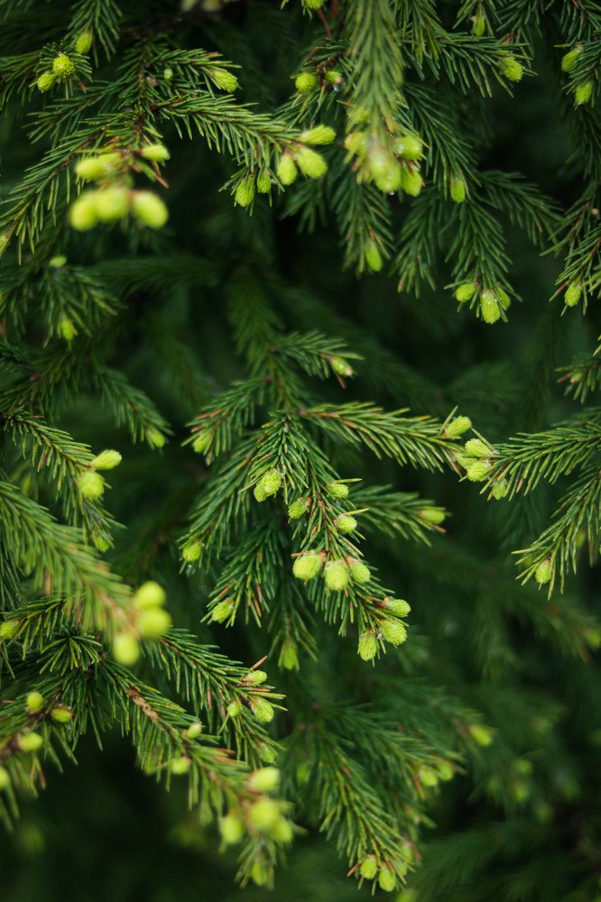 Photograph by Екатерина Михайлова