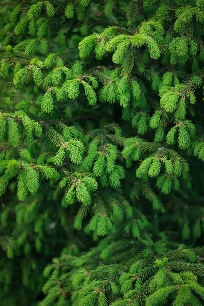 Photograph by Екатерина Михайлова