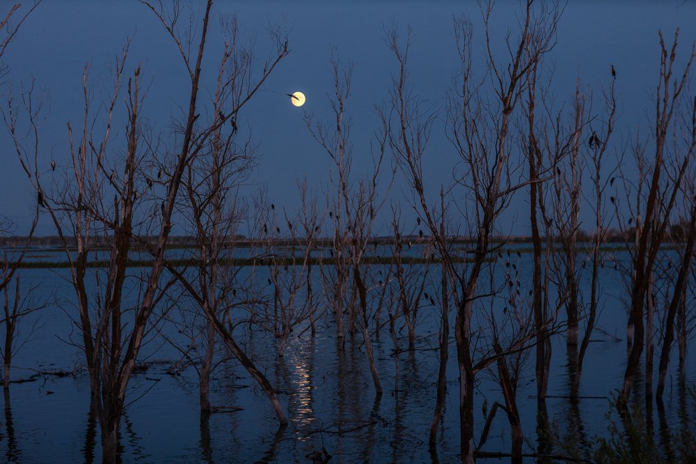 Photograph by Анатолий Лиясов