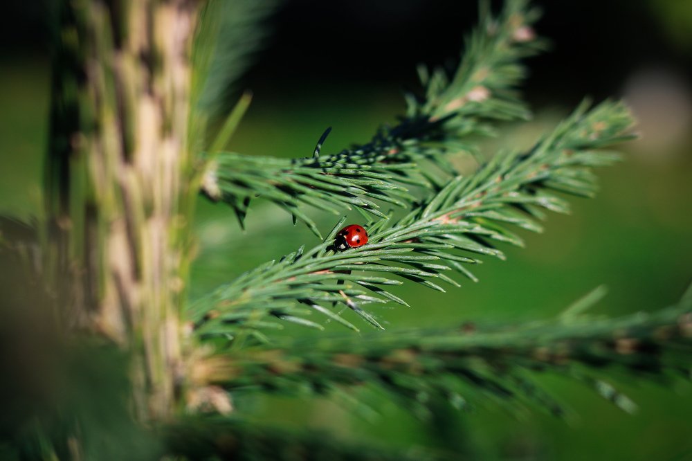 Photograph by Екатерина Михайлова