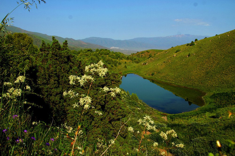 Photograph by Алтынбек Қартабай