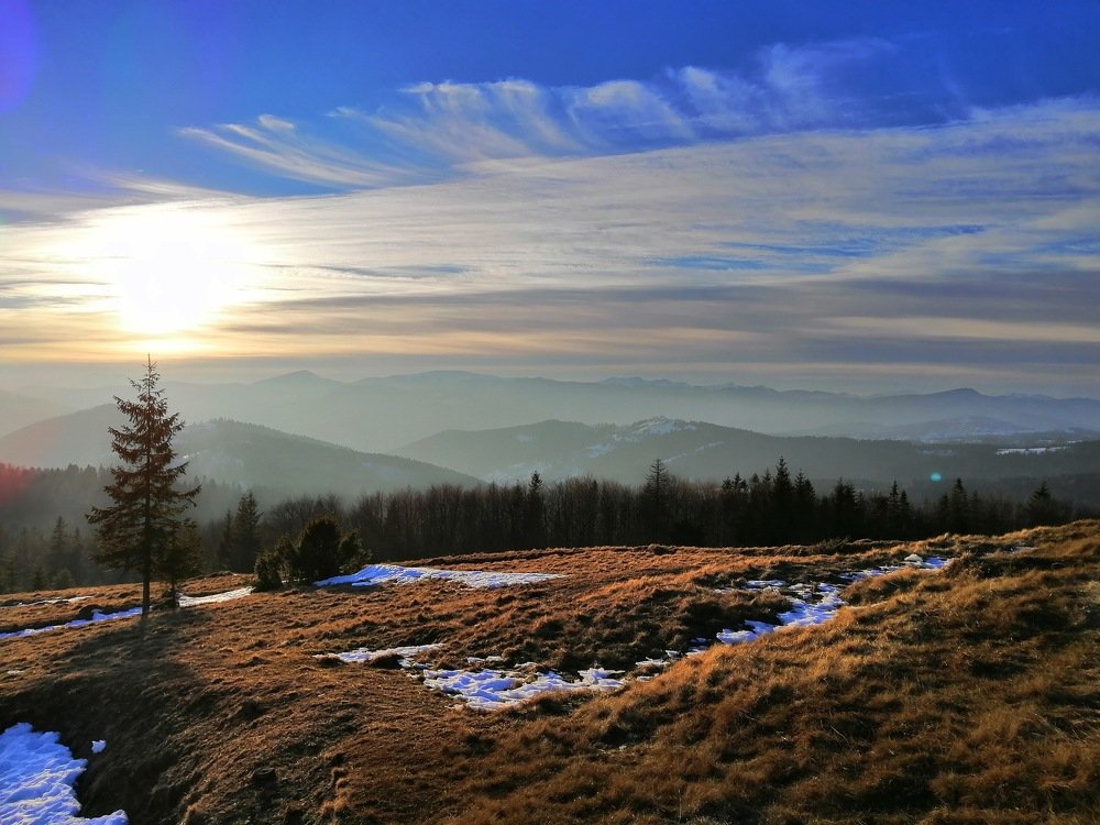 Photo #3739853
