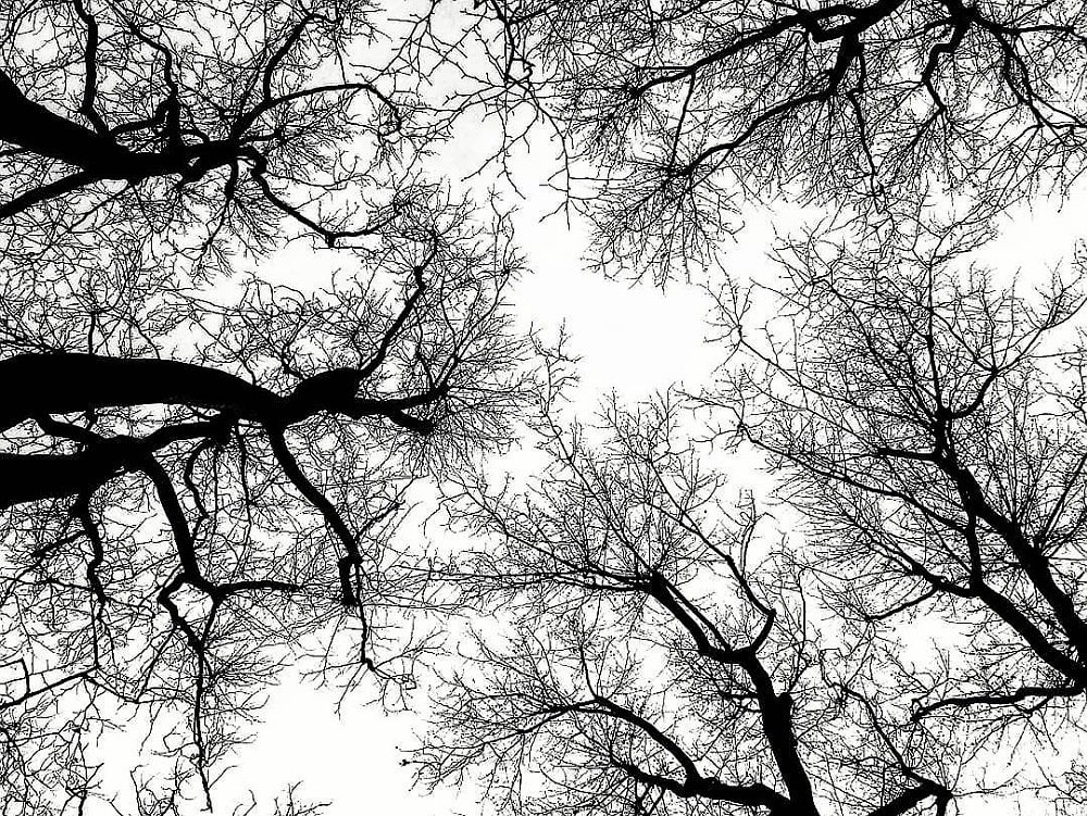 Photograph by Bahmani Arian