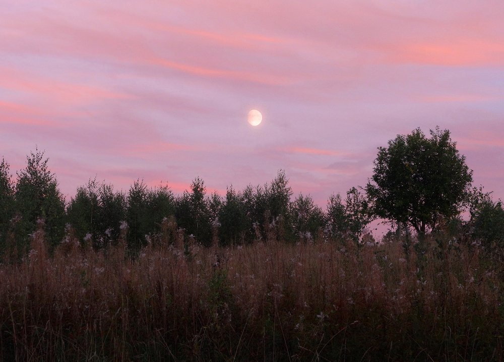 Photograph by IRINA KORNEVA