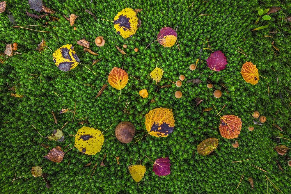 Photograph by Станислав Напалкин