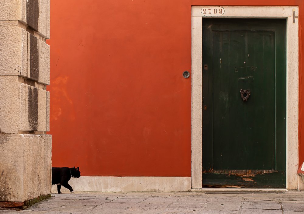 Photograph by Denis Korolev