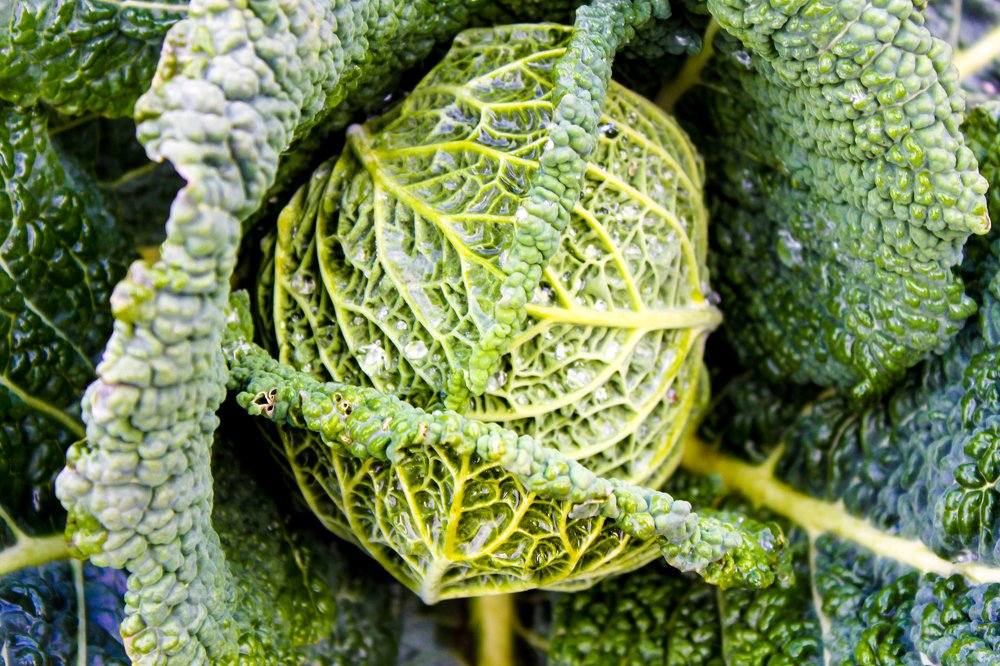 Photograph by Aurelie Crisetig