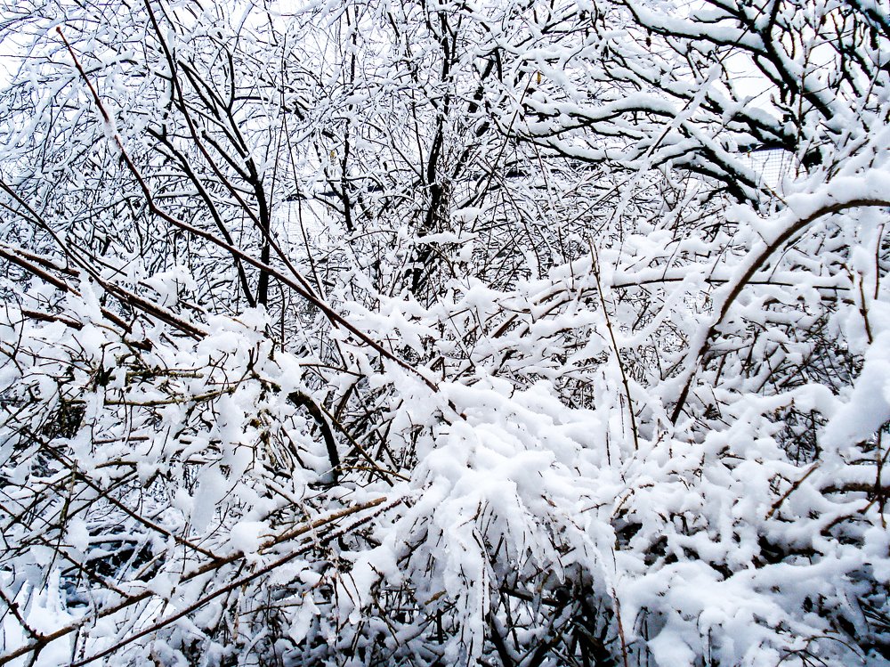 Photograph by Aurelie Crisetig